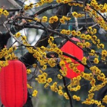 Salsa for glæde Salsa for glæde