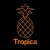 Tropica Dance Studio